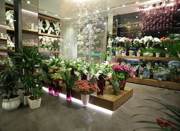 Магазин цветов и вкусных букетов/перспективы дальнейшего развития