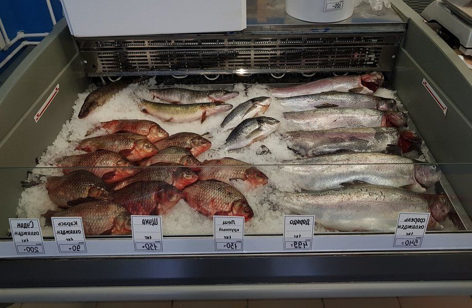 Фото 1 Магазин морепродуктов в престижном районе с высокой посещаемостью