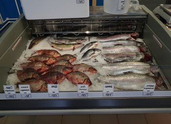 Фото Магазин морепродуктов в престижном районе с высокой посещаемостью