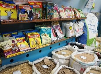 Фото 2 Зоомагазин с доставкой по СПб и ЛО / Прибыль 250 000