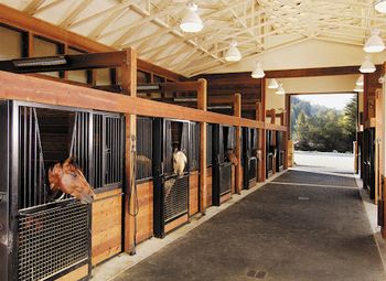 Фото 2 Конный клуб в собственности с землей и строениями. Лучшее предложение!