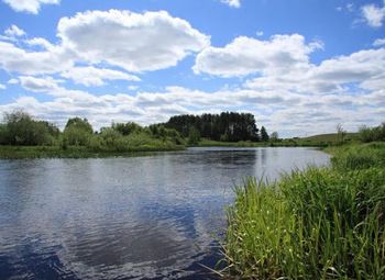 Фото 3 Земельный участок в 50 метрах от озера. Подстанция на 160 кВт.