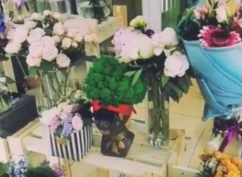 Фото 4 Цветочный островок в ТЦ