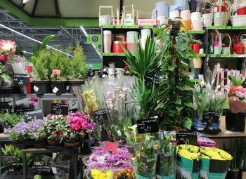 Фото 2 Цветочный островок в ТЦ