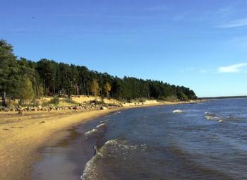Фото 2 Участок на берегу Финского залива (450 соток)