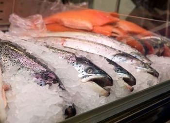 Готовый бизнес Рыбный магазин