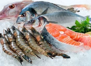 Прибыльный рыбный магазин без конкурентов