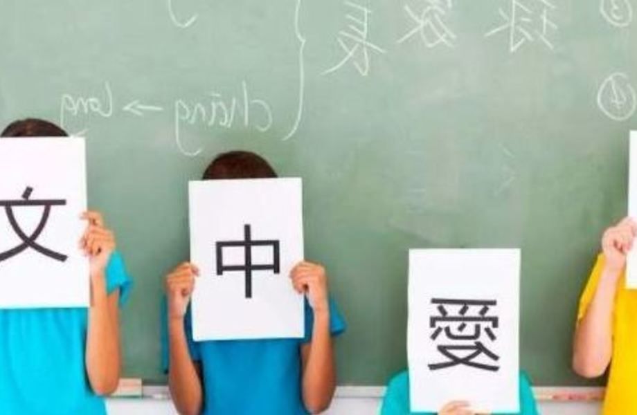 Онлайн школа по изучению иностранных языков под ключ / 14 лет опыта