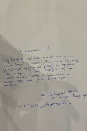 Отзыв Богрянцева Анна